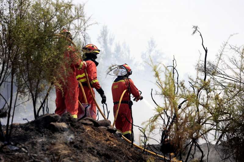 Bomberos trabajan en la extinción del incendio de Azuébar. EFE/ Domenech Castello
