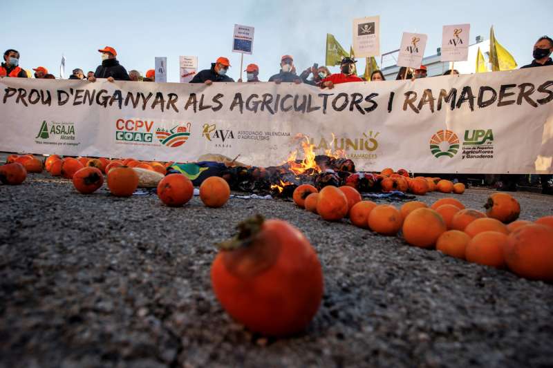 Imagen de archivo de una protesta de agricultores valencianos. EFE/Biel AliÃ±o
