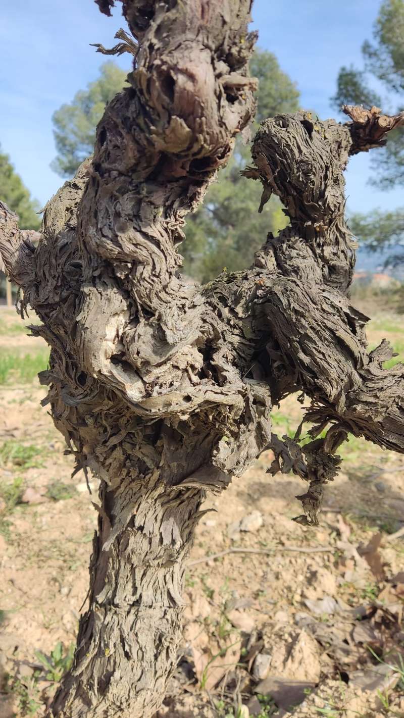 Imagen de promoci�n del taller fotogr�fico. EPDA