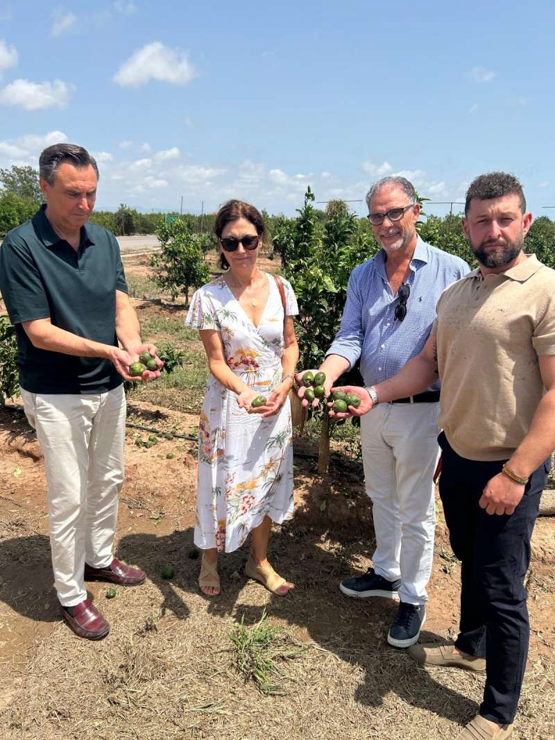 Visita a un campo de cultivo de Burriana. EPDA