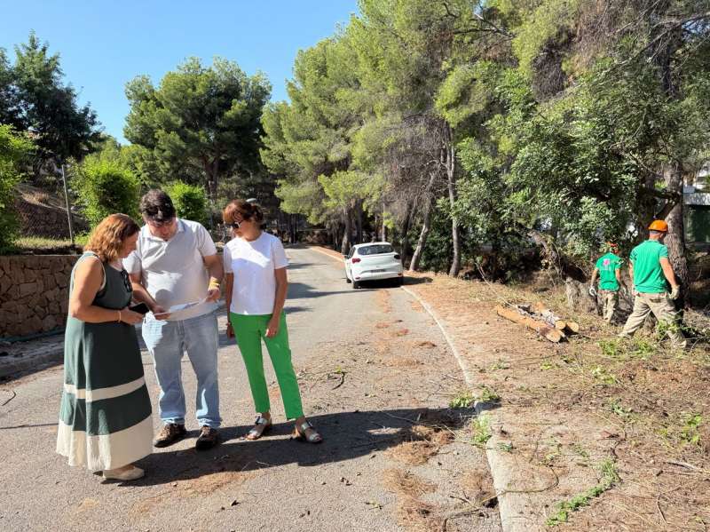 Trabajos de tala y desbroce en Benicssim. EPDA